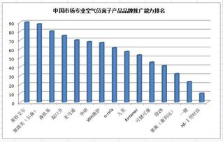 中國市場專業空氣負離子（負氧離子）產品市場調研報告